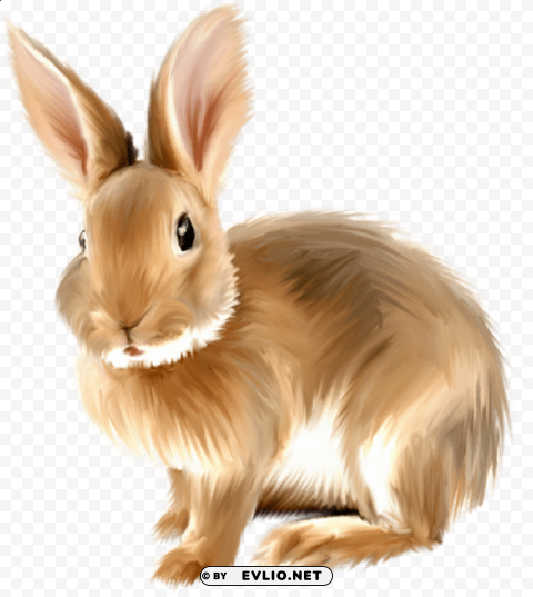 painted bunny Isolated Element on HighQuality Transparent PNG