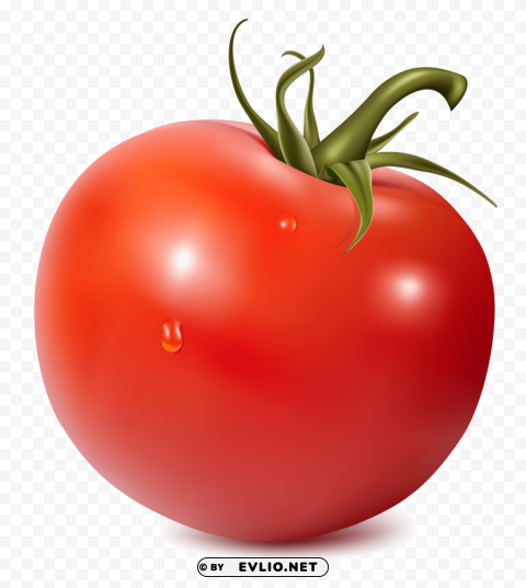 tomato Isolated Item in HighQuality Transparent PNG clipart png photo - d492d3f8