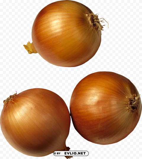 onion PNG graphics with transparent backdrop