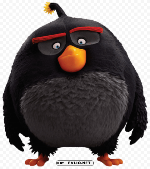 the angry birds movie bomb PNG images for websites