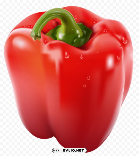  red pepperpicture Transparent PNG images free download