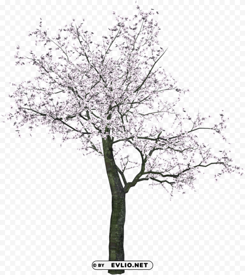 tree PNG images with no fees