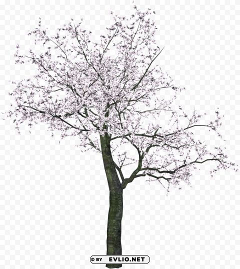 tree PNG files with no background free