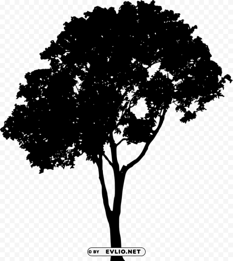 tree silhouette Isolated PNG on Transparent Background