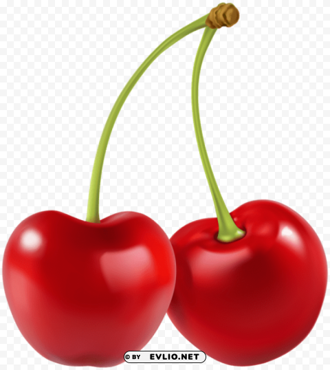 two cherries PNG transparent photos library