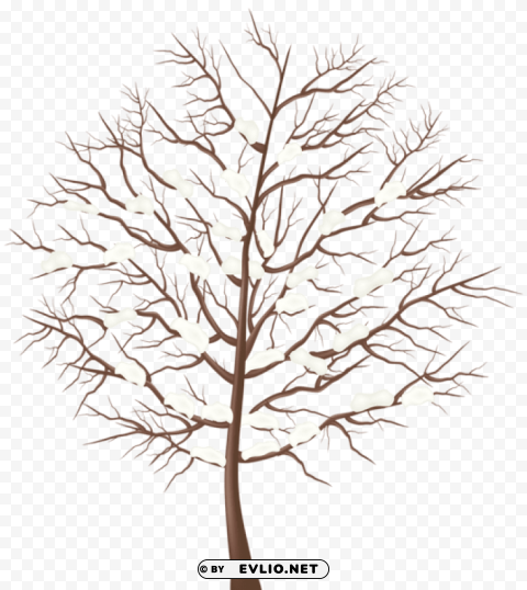 winter tree Isolated PNG Image with Transparent Background