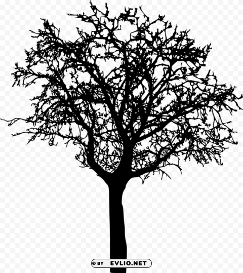 bare tree silhouette Isolated Character in Clear Transparent PNG