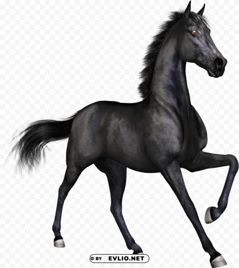 black race horse PNG with transparent background for free png images background - Image ID de0367f8