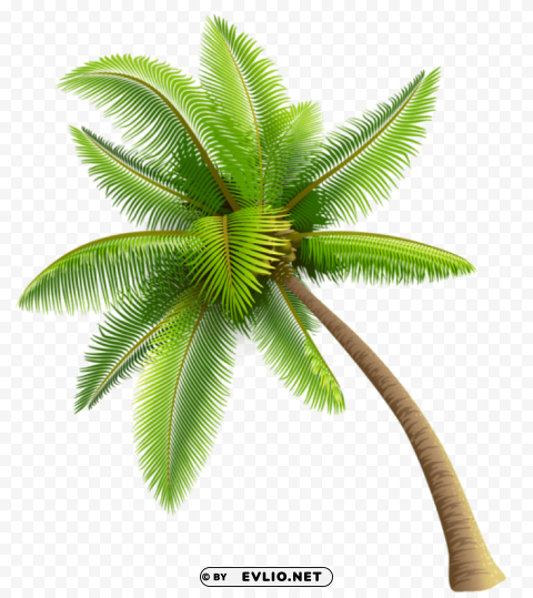 green palm tree Transparent background PNG clipart