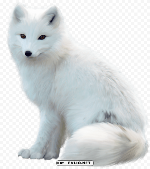 Fox - Image in HD Quality - ID 30622cec Isolated Character in Clear Transparent PNG