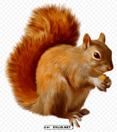 squirrel Isolated Graphic on HighQuality Transparent PNG