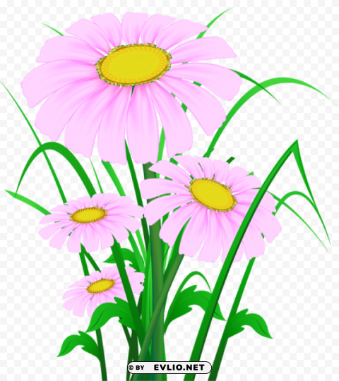  pink daisies HighQuality Transparent PNG Element