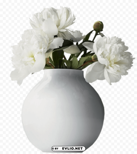 vase with white peoniespicture Transparent PNG graphics variety