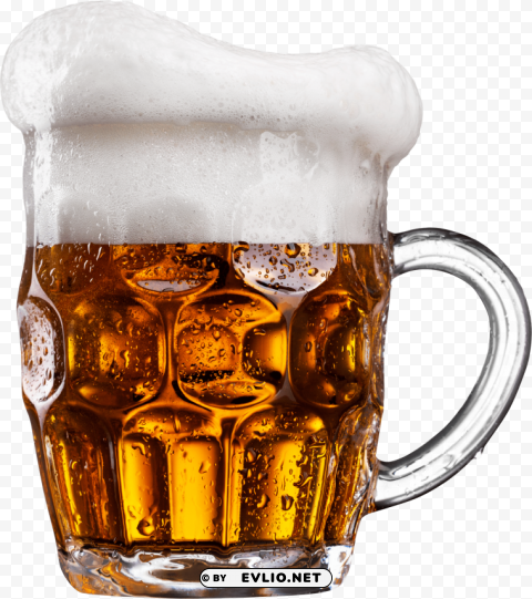 Glass Of Beer Transparent PNG Isolated Design Element