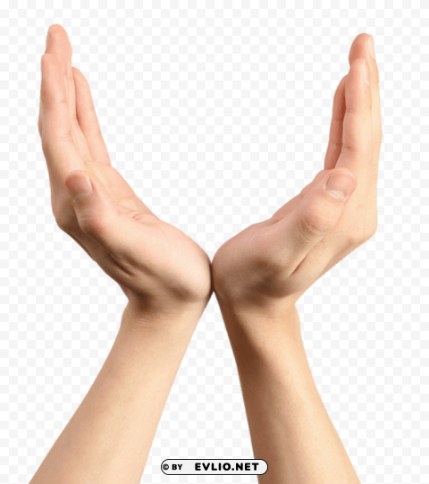 hands Isolated Item on Clear Background PNG