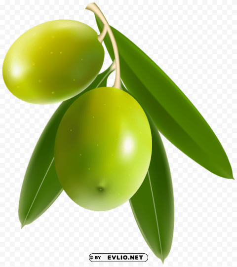 olives Isolated Character with Transparent Background PNG