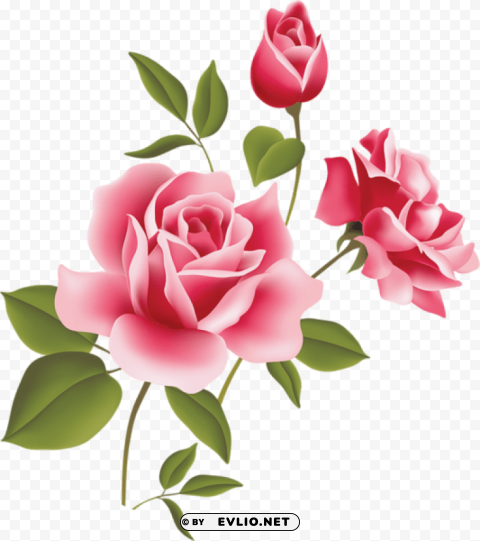 pink rose art picture High-definition transparent PNG