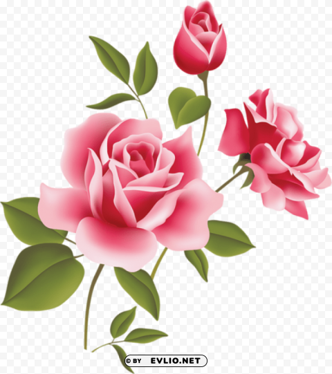 Pink Rose Art Picture High-definition Transparent PNG