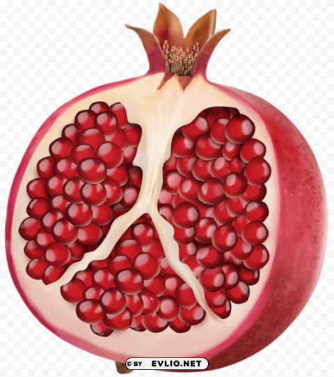 Pomegranate Transparent PNG Isolated Graphic With Clarity