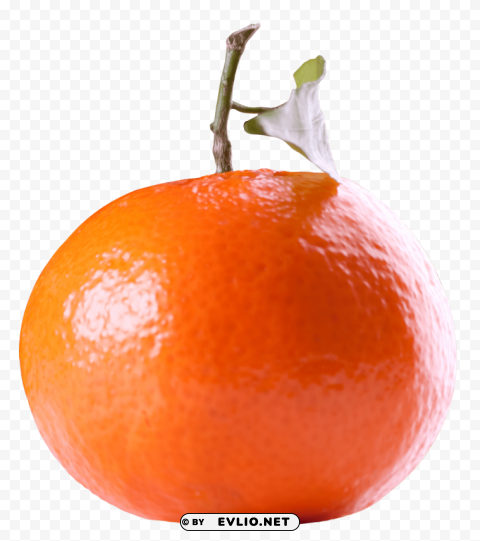 tangerines PNG images no background
