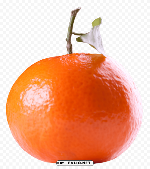 Tangerines PNG Images No Background