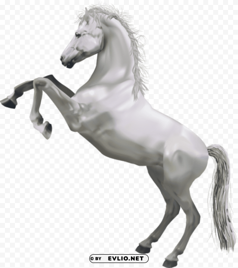 transparent white horse PNG for digital design