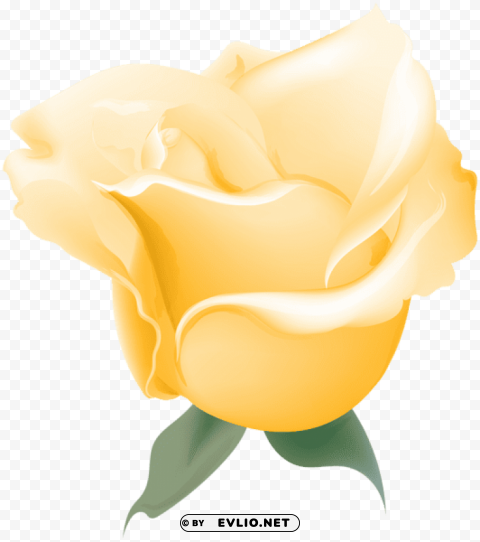 yellow rose soft deco PNG transparent images for printing