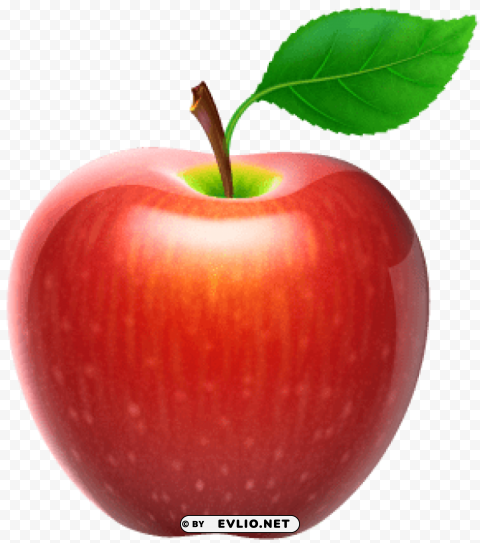apple fruit Isolated Item on HighResolution Transparent PNG