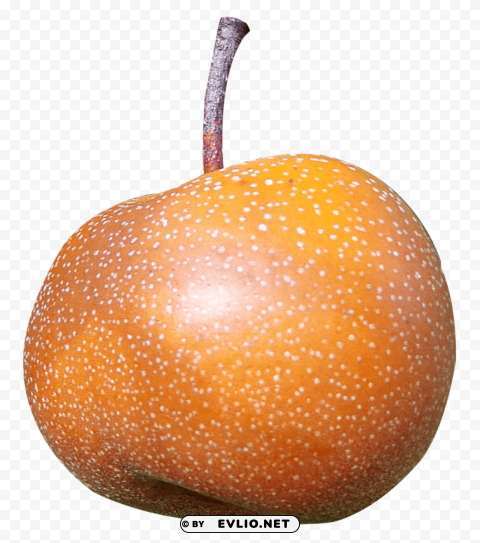 Asian Pear Isolated Item in Transparent PNG Format png - Free PNG Images ID d0ed2c6c