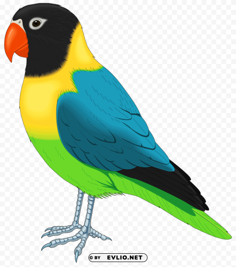 birds PNG graphics with transparent backdrop