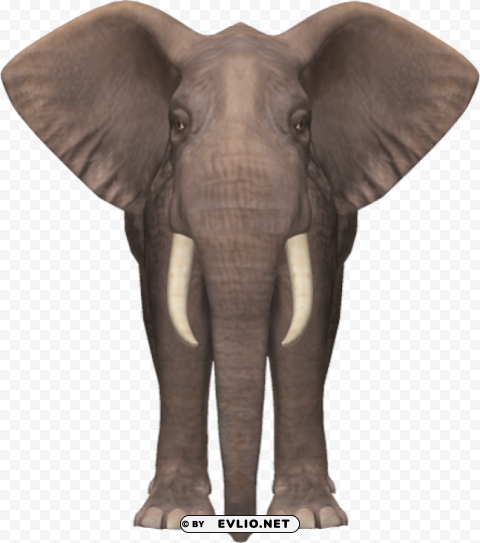 elephant PNG images with transparent overlay