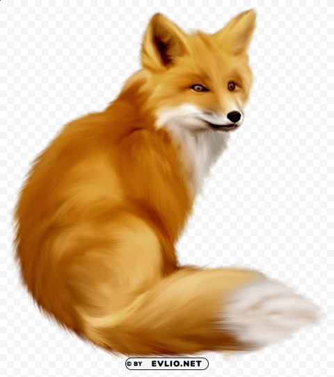 fox free PNG for use