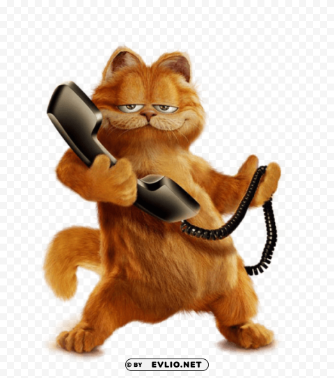 garfield with phone ture Isolated PNG on Transparent Background