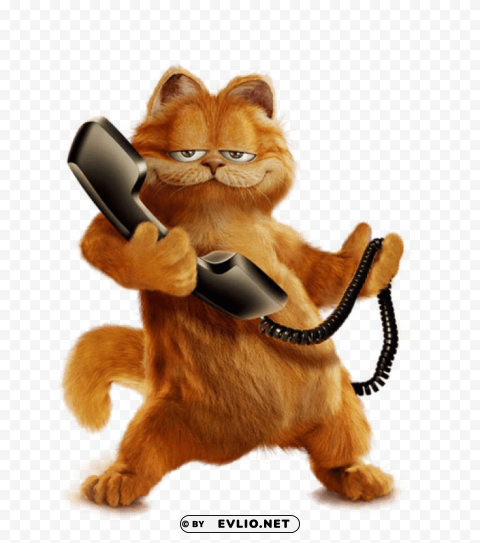 Garfield With Phone Ture Isolated PNG On Transparent Background