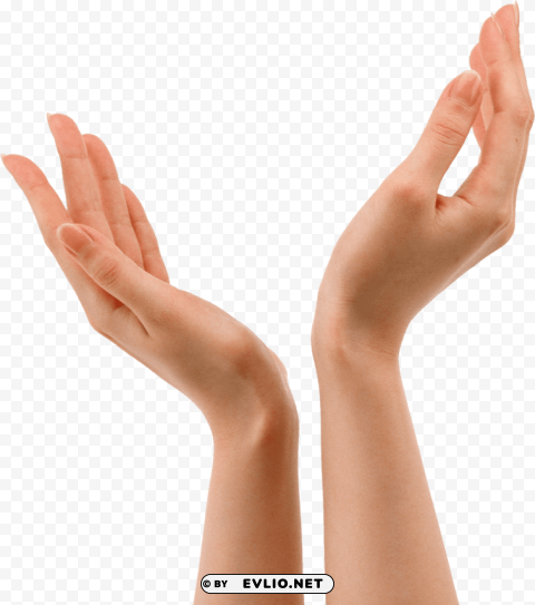 Hands Hand PNG With Transparent Background For Free