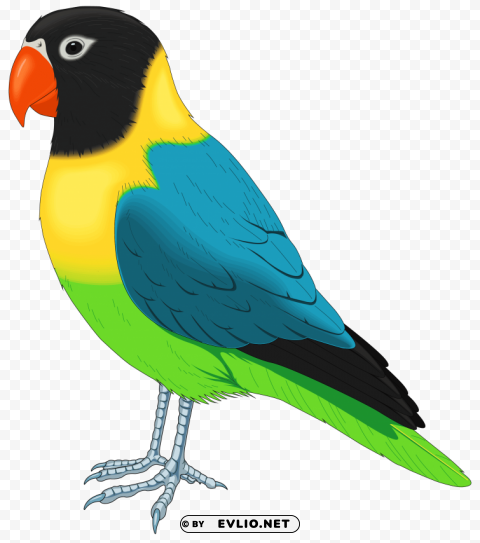 multicolored bird Isolated Artwork with Clear Background in PNG