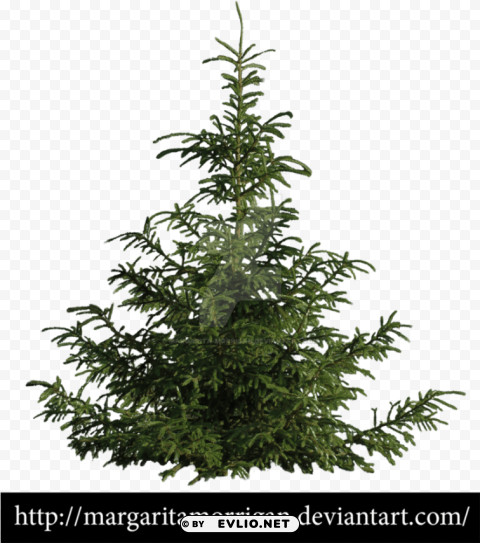tree PNG images without restrictions PNG transparent with Clear Background ID f733f70e