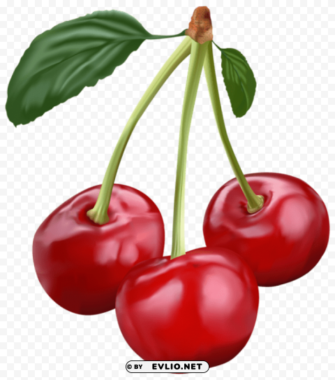 cherry PNG with no background for free