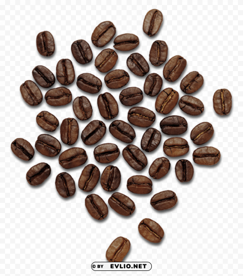 coffee beans Isolated Character with Transparent Background PNG