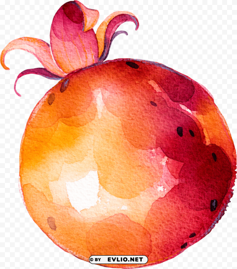 Fruits And Vegetables Painting PNG With Transparent Backdrop