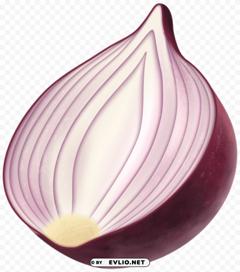 red onion Isolated Graphic on Clear Background PNG