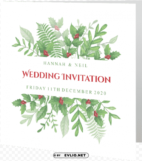 wedding day invite christmas greenery holly 140mm x - weddi PNG transparent stock images