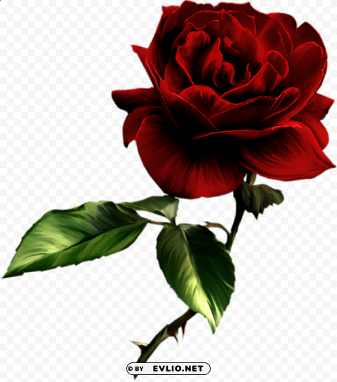 painted red rose Clean Background Isolated PNG Art