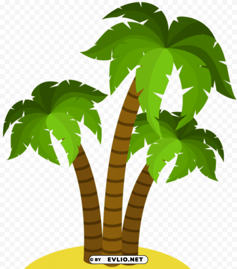 palms decorative Isolated Design on Clear Transparent PNG