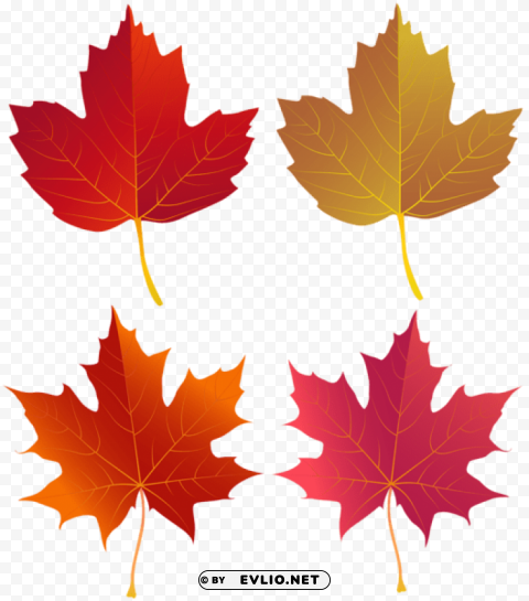set of autumn leaves PNG Image with Clear Isolated Object