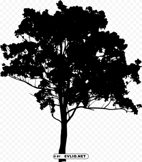 tree silhouette HighQuality Transparent PNG Isolation