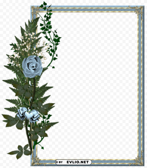 beautiful gray photo frame with blue rose Transparent PNG Isolated Design Element
