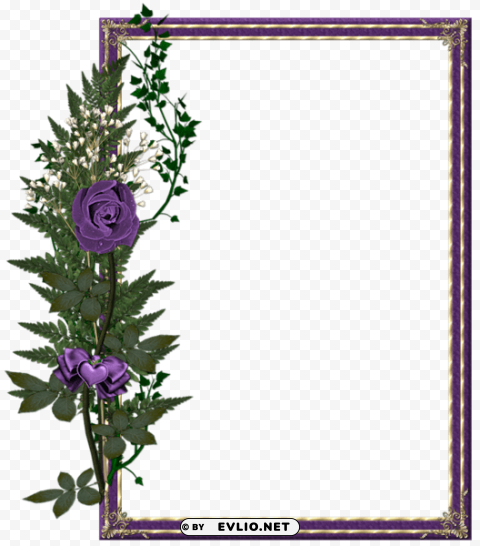 beautiful purple photo frame with purple rose Transparent PNG Isolated Artwork