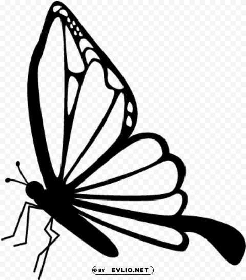 butterfly side view drawing Transparent background PNG clipart