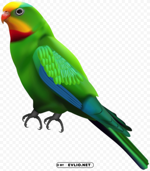 green parrot transparent Free download PNG images with alpha transparency